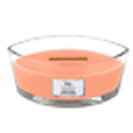 Woodwick Manuka Honey Scented Decor Gift Candle