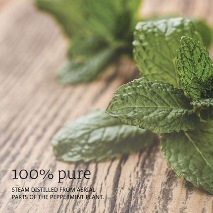 Now Essential 100% Pure Peppermint Oil 30Ml - 1 Oz. - Image 3