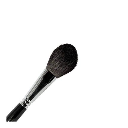 Parisax Blush Brush 20X40Mm