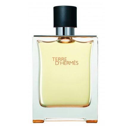 Hermes Terre D'Hermes Eau De Toilette Spray 100Ml - Product Without Packaging
