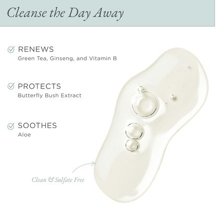 Pur Minerals Forever Clean Gentle Facial Cleanser - Sulfate-Free Makeup Remover - Image 3