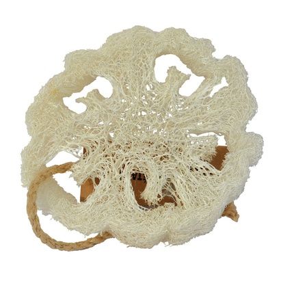 ليفة صابون حلب اسفنجية طبيعية مسطحة