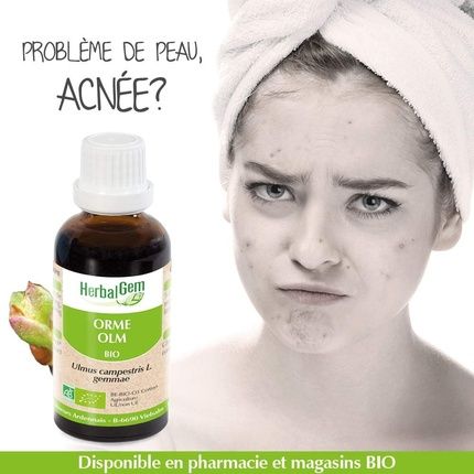 Concentrated Mother Macerates Elm 30Ml - Image 3