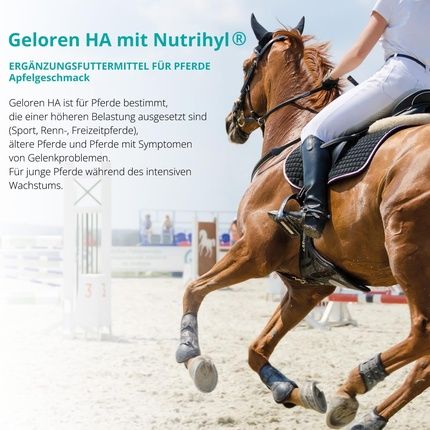 Geloren Horse Additives For Joints Ha Hyaluronic Acid Natural Jelly Cubes For Horses Apple 450G - Image 3