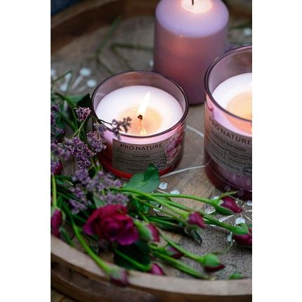 Muller Pro Nature Scented Candle In Glass With Wooden Wick And Rapeseed Wax