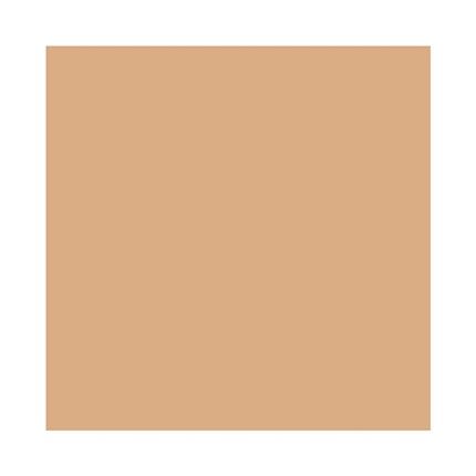 Clinique Beyond Perfecting Foundation + Concealer Makeup 1 Fl Oz 5.75 Cork