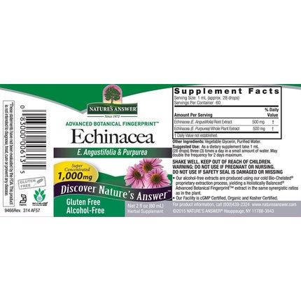 Echinacea Alcohol Free 500Mg 2 Fluid Ounces - Image 3