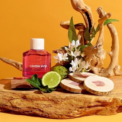 Hollister Canyon Rush For Her Eau De Parfum 100Ml - Image 3