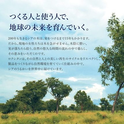 L'Occitane Shea Butter Ultra Rich Lip Balm 12Ml Enriched With 10% Shea Butter 99% Natural Origin Ingredients Luxury & Clean Beauty Lip Care For All Skin Types - Image 3