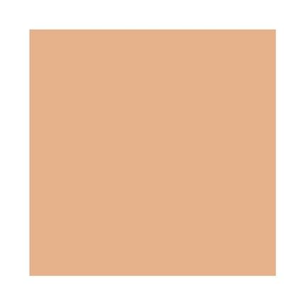 Mac Studio Fix Powder Plus Foundation Nc55 15G