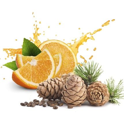 Air Wick Fragrance Oil Bottle Refill Anti-Tobacco - Fruity Room Fragrance With - Image 3