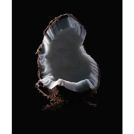 L'Oreal Paris Elvive Extraordinary Coconut Oil Shampoo 370 Ml - Image 3