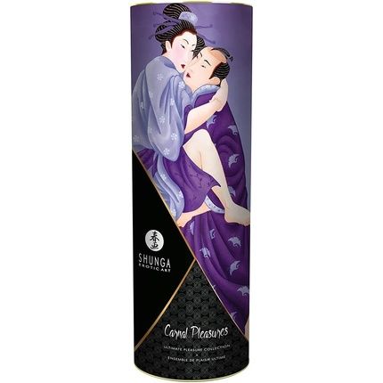 Shunga Carnal Pleasures Kit