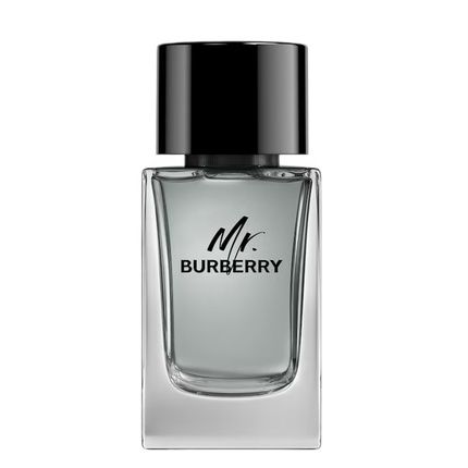 Burberry Mr. Burberry Eau De Toilette Spray 100Ml