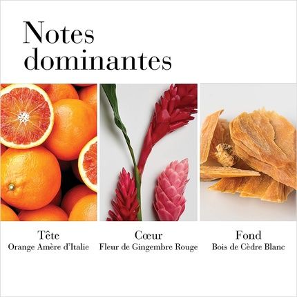 Elizabeth Arden White Tea Gingerlily Body Cream 400Ml - Image 3