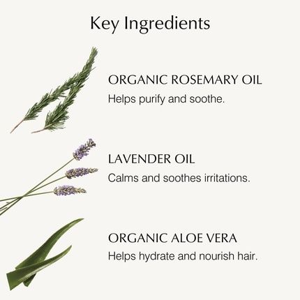 John Masters Organics Haircare Lavender 236Ml - Image 3