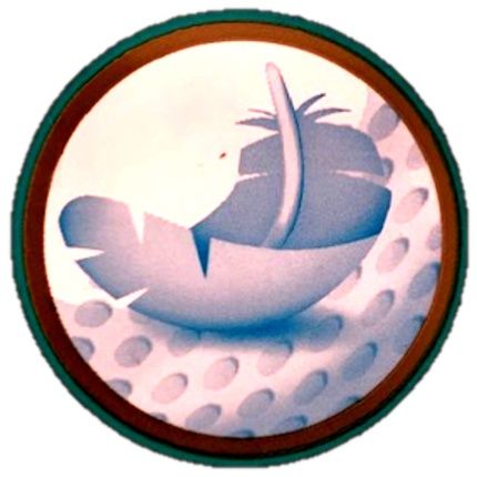 Pampers Premium Care Diapers Size 6