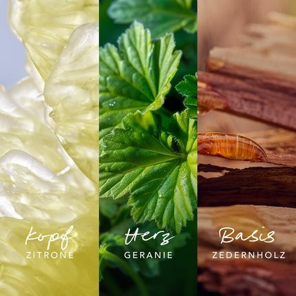 Mexx Inspired Nature Eau De Parfum For Men Woody-Aquatic Fragrance - Image 3