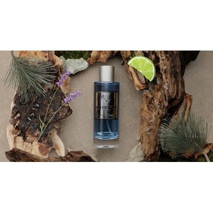 Diane Castel Silver Wolf Eau De Parfum 100Ml