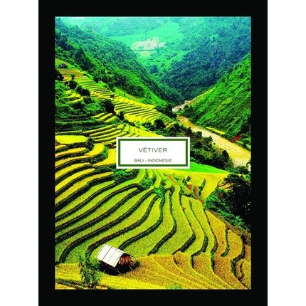 Lalique Vetiver Bali Indonesia Candle - Image 3