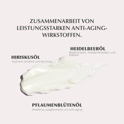 Taaj Anti-Aging Cream Rasayana Smoothes Wrinkles - Rich In Regenerating Ingredients - Image 3