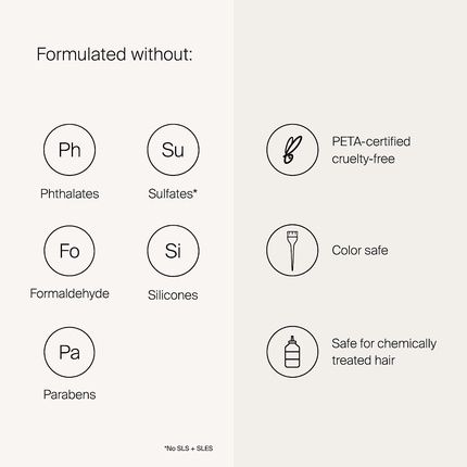 Living Proof No Frizz Smooth Styling Spray Lightweight Detangles Conditioning 5.5 Oz - Image 3