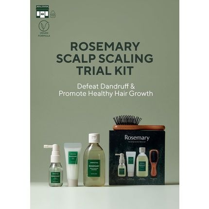 Aromatica Rosemary Scalp Scaling Trial Kit Gift Set Mini Wooden Hair Brush Shampoo 3.38 Fl. Oz. Root Enhancer 1.01 Fl. Oz. Scalp Scrub 1.01 Fl. Oz. For Clearer And Dandruff Free Hair 04 Rosemary Trial Set