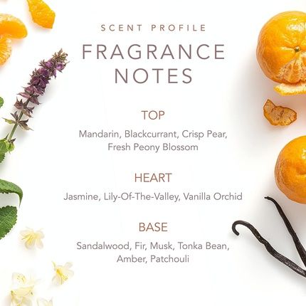 Dolly Parton Scent From Above Eau De Toilette Spray 100Ml