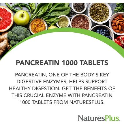 Naturesplus Pancreatin 1000Mg Natural Digestive Enzyme Supplement 60 Tablets - Image 3