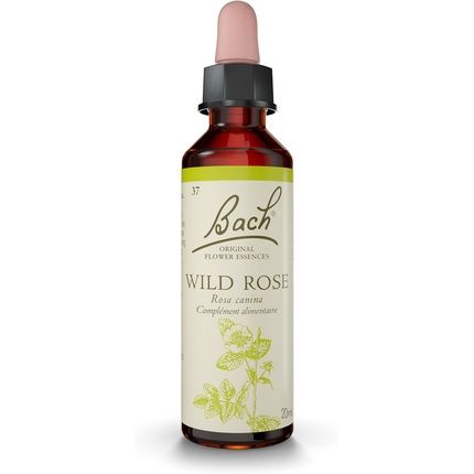 Bach Flowers Original Wild Rose No. 37 For More Ambition
