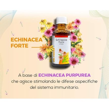 Dr. Theiss Echinacea Forte Dietary Supplement 50Ml