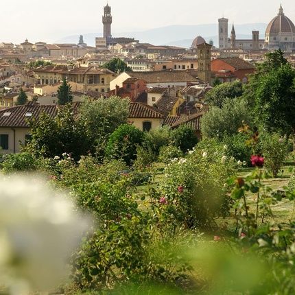 Dr. Vranjes Decorative Scented Candle Perla Ginger Lime 500G 18Oz - Made In Italy - Image 3