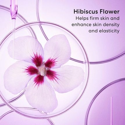 Bareminerals Ageless Phyto Procollagen Anti-Age Firming Cream 50Ml - Image 3