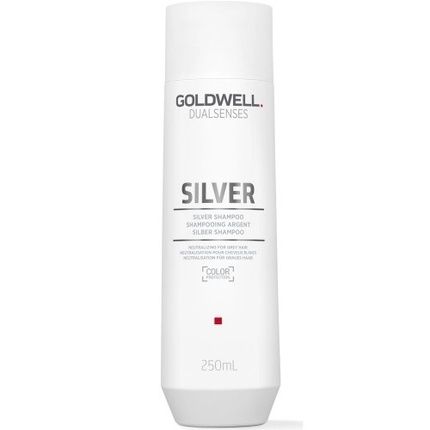 Goldwell Dualsenses Silver Shampoo 250 Ml For Blonde And Gray Hair