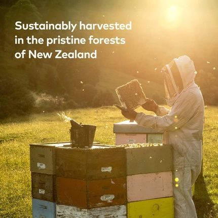 Comvita Umf5+ Manuka Honey Black Label - 500G - Image 3