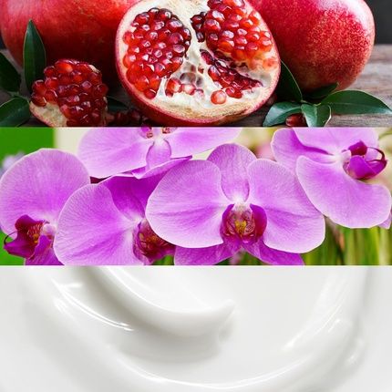 Calvin Klein Euphoria Body Lotion With Pomegranate, Black Orchid, And Lotus