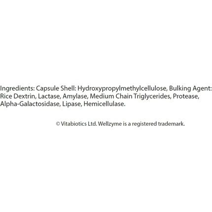 Vitabiotics Wellzyme 6 Enzyme 60 Count 120G - Image 3