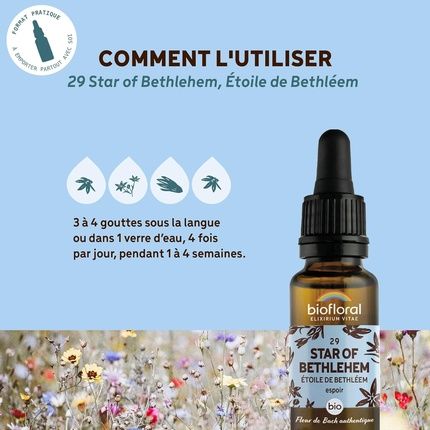 Fleurs De Bach Bio N29 Star Of Bethlehem 20Ml - Image 3