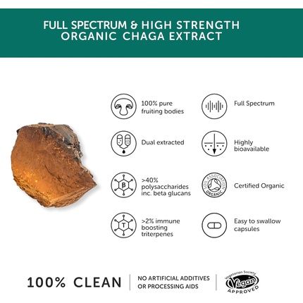 Organic Chaga High Strength 9000Mg Full Spectrum 40% Polysaccharides 30% Beta-Glucans Triterpenes Additive Free Capsules - Image 3