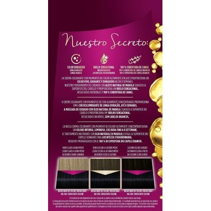 Schwarzkopf Palette Intense Color Cream 1.1 Blue Black Tone