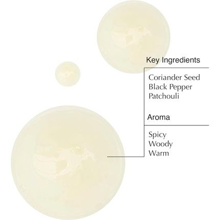 Aesop Body Cleanser With Coriander Seed 500Ml - Image 3