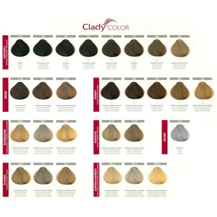 Clady Professional Hair Dye Cream Colorant - Image 3