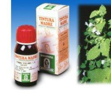 Melisa Tincture 50Ml