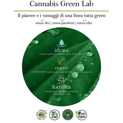 Oyster Cannabis Green Lab Illumina-Therapy Oil 100Ml - Image 3