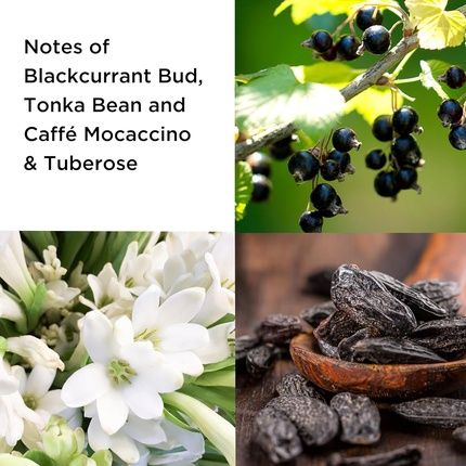 Elizabeth Arden 5Th Avenue Nyc Pulse Eau De Parfum Spray 75Ml Floral - Image 3