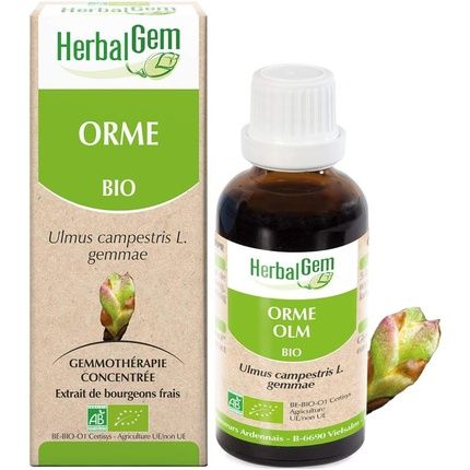 Concentrated Mother Macerates Elm 30Ml