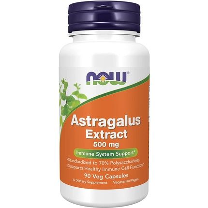 Astragalus Extract 500Mg 90 Vcaps