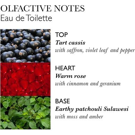 Molton Brown Rose Dunes Eau De Toilette 100Ml